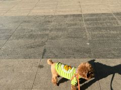 -北京华联生活超市(北京常营店)