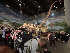 -自贡恐龙博物馆