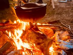 -盘龙城国家考古遗址公园