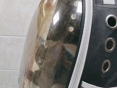 -动物缘宠物医院·骨科·猫科(西二环店)