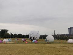 -眉山湿地公园(东坡区)