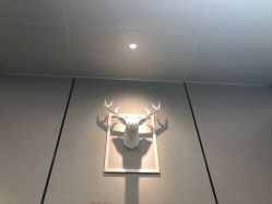 -MJ skin care国际皮肤管理中心