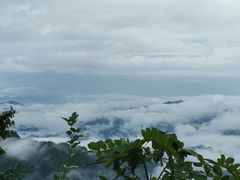 -张家界天门山国家森林公园