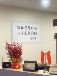 -上海玫瑰医疗美容医院