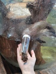 -Zoolung Zoolung动物主题公园(海信广场店)