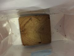 -麦尚心甜(北金鹰店)