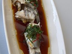 -农乐园食府(梅城镇店)