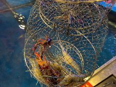 -钳真多钓虾馆·小龙虾海鲜烧烤(九六广场店)