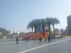 -宝安西湾红树林湿地公园