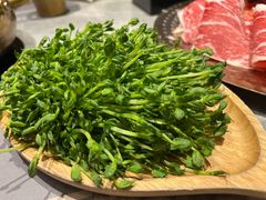 -四面泰(万象城店)