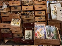 -知物癖(牛王庙店)