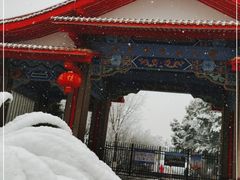 -沙市市中山公园
