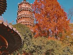 -宝通禅寺