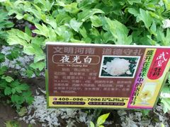 -西苑公园