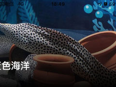 -绿色星球动物主题公园