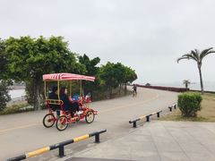 游乐设施-海鸥岛