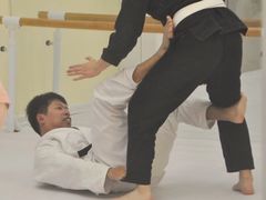 -勇气斑马·巴西柔术&跆拳道(浦东三林店)