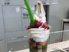 -Salud撒露欧洲冻酸奶(798艺术区店)