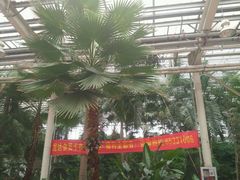 -龙达温泉生态城