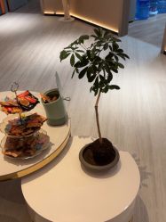 -丽都整形美容医院·全国连锁旗舰店