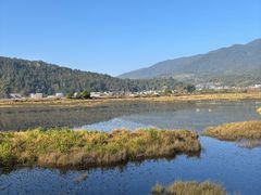 -腾冲北海湿地