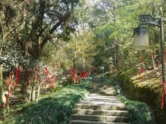 -梦姑塘文化公园