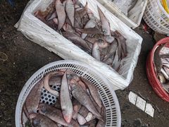 -京深海鲜市场(光彩路店)