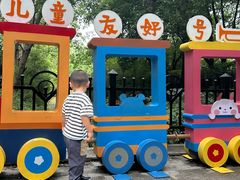 -合肥滨湖国家森林公园