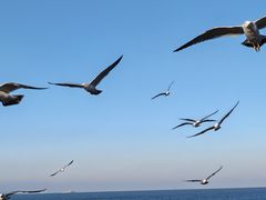 -悦海公园