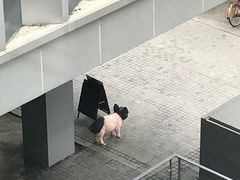 -星巴克(深圳软件园产业基地店)