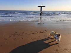 -老虎石海上公园