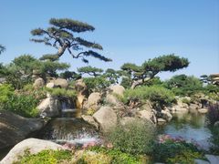 -罗红摄影艺术馆