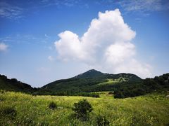 -白草畔自然风景区