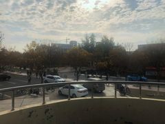 -山东理工大学
