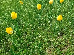 -长春公园(普阳街道)