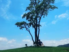 -东钱湖旅游度假区