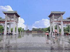-王借岗森林公园