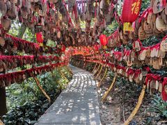 -广州市白云山风景名胜区