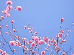 -天龙八部武侠城