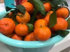 砂糖橘-百果园PAGODA(新圳西路店)