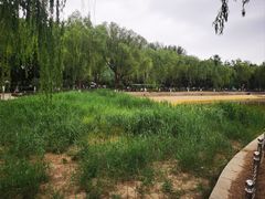 -康庄公园