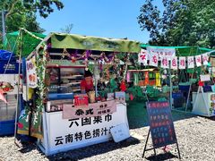 -西双版纳傣族园