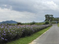 -光明小镇欢乐田园