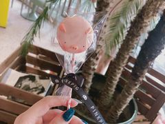 -WHEN PIGS FLY当猪飞