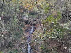 -宁波市保国寺古建筑博物馆