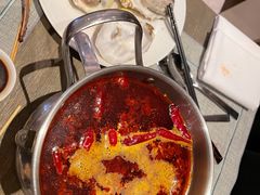 现开贝拉生蚝-TABLE·味西餐厅-成都茂业JW万豪酒店