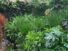 -秦美花卉(天朗·莱茵小城2期店)