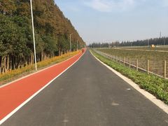 -上海长兴岛郊野公园