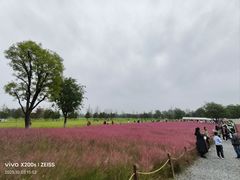 -汉长安城未央宫国家考古遗址公园