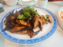-津津乐乐